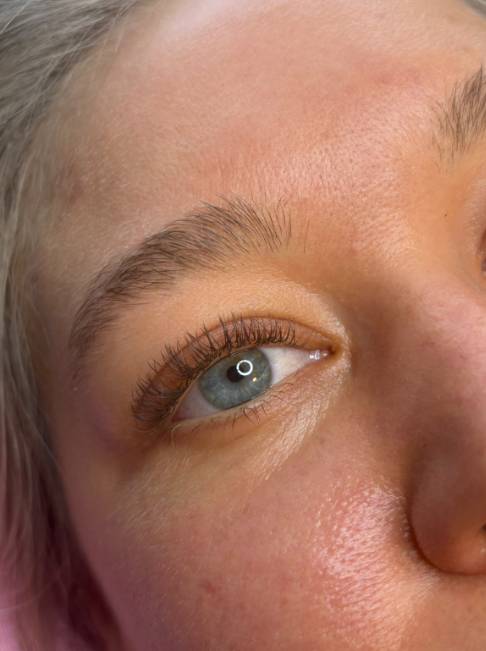 Brune single lashes i Aarhus